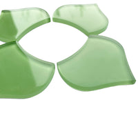 Grote Visschub Frisgroen