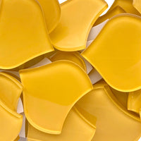 Grote Visschub Maïs