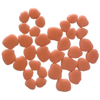 Sakura Blossom Aprikose