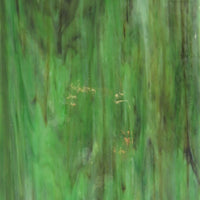 Glasplaat Camouflage Wazig