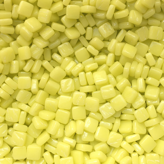 Ottoman 12mm Gele Narcis