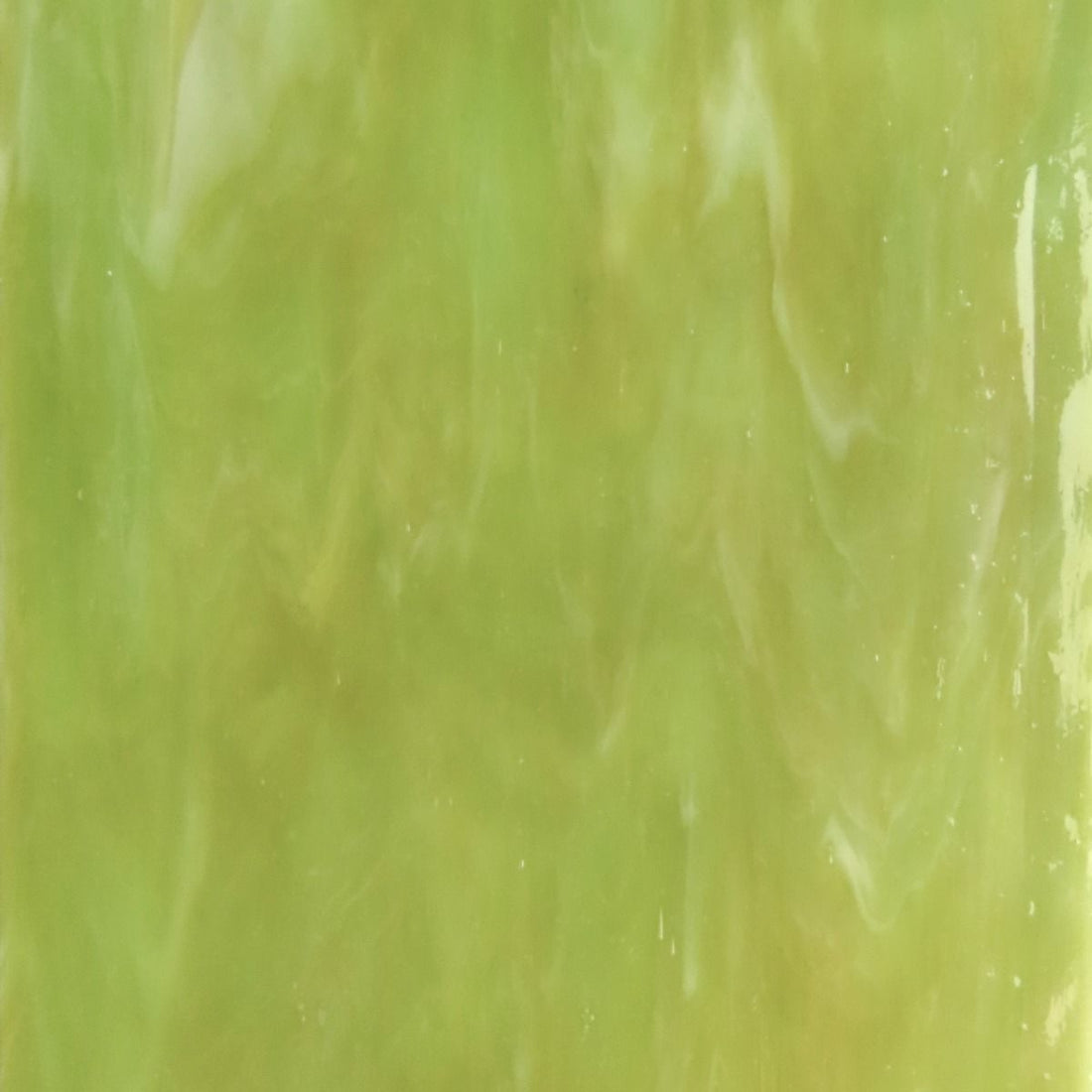 Glasplatte Farn