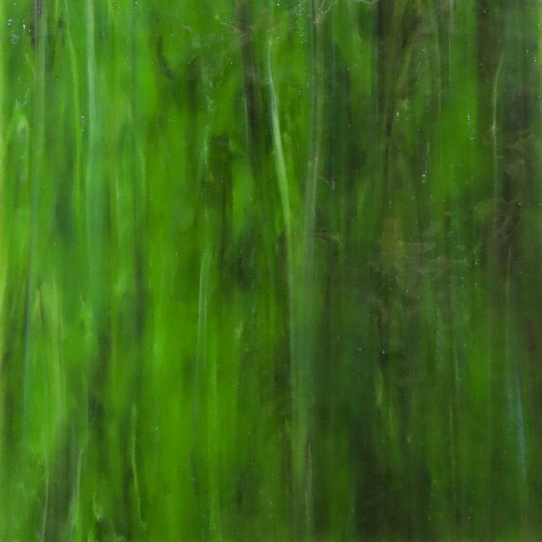 Glasplatte Waldgrüne Textur