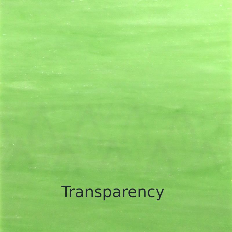 Glasplaat Jonge Scheuten