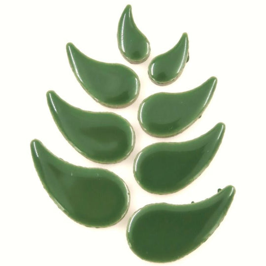 Regentropfen Eukalyptus