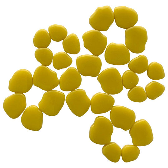 Sakura Bloesem Opaalgeel