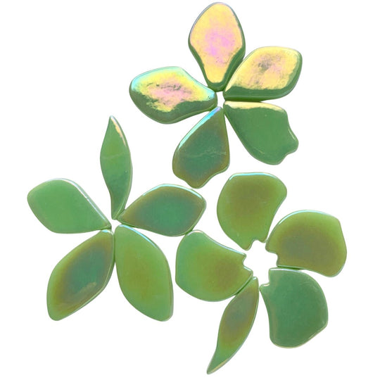 Bloemblaadjes Glas Parelmoer Muntgroen