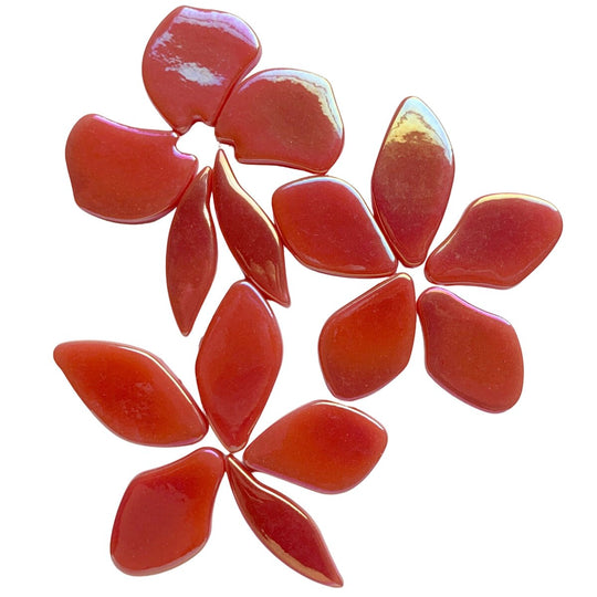 Bloemblaadjes Glas Parelmoer Watermeloen