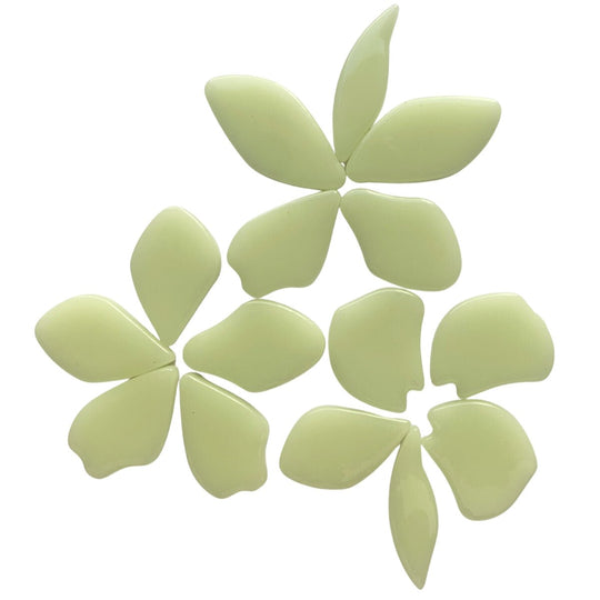 Fallen Petals Yellow Pollen