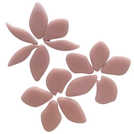 Fallen Petals Rose Petals