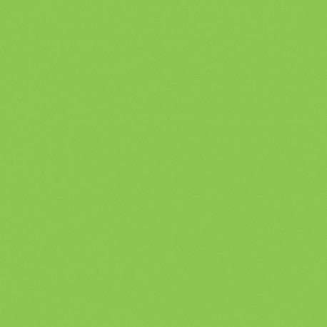 Mosa-17900 Macaw Groen 15cm